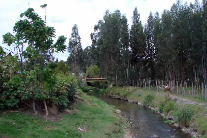 LAMUD 01