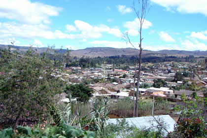 LUYA 01