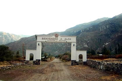 ALCA 01