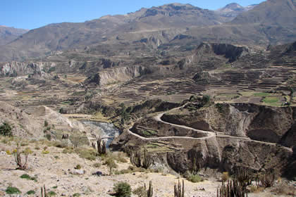 CA�ON DEL COLCA 01