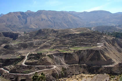 CA�ON DEL COLCA 02