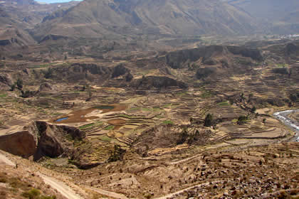 CA�ON DEL COLCA 05