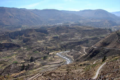 CA�ON DEL COLCA 06