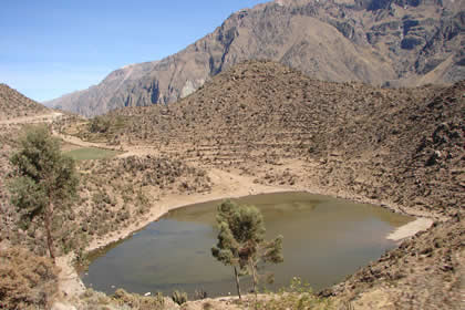 CA�ON DEL COLCA 08