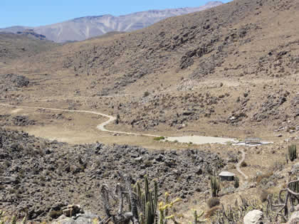CA�ON DEL COLCA 16