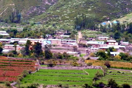 MUNGUI 01