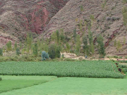 RUTA CUSCO OROPESA 02