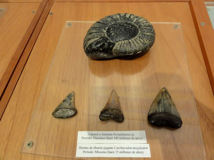 CASA MUSEO ANTONIO RAIMONDI MUSEO 10