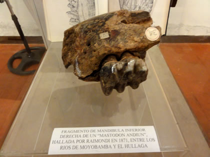 CASA MUSEO ANTONIO RAIMONDI MUSEO 11