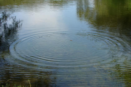 LAGUNA EL GALLINAZO 13