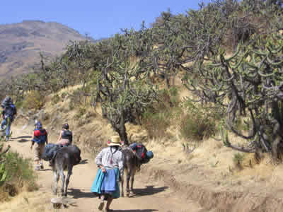 HACIA MARCAHUASI 01
