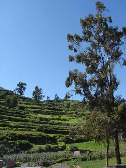 ANDENES CARUMAS 02
