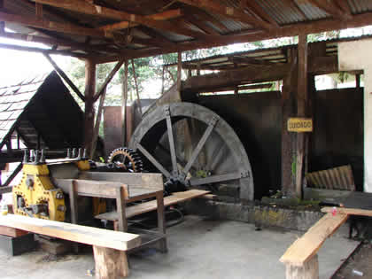 EL WHARAPO 03