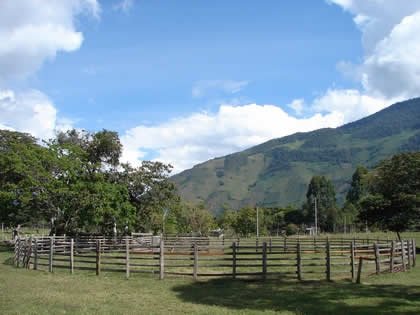RODEO EN EL RANCHO RUFFNER 02