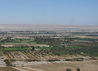 CAMPINA TACNEÑA 04