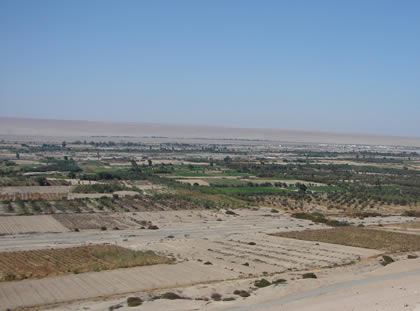 CAMPINA TACNEÑA 06