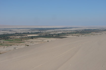 CAMPINA TACNEÑA 07