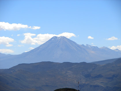 TARUCACHI ESTIQUE PAMPA PALQUILLA 13